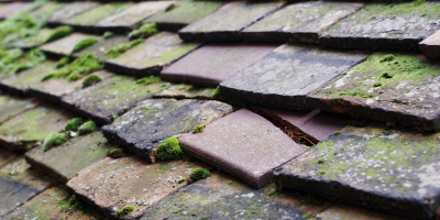 Ystrad Fflur roof repair costs